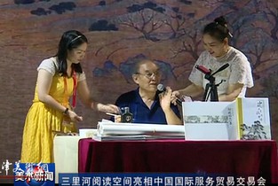 视频：何延喆教授在2020国际服贸会上做专题讲座 普及中国传统绘画艺术