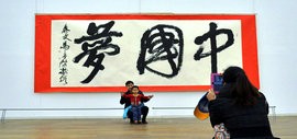 高清图：中国梦·天容海色—马孟杰书法作品展