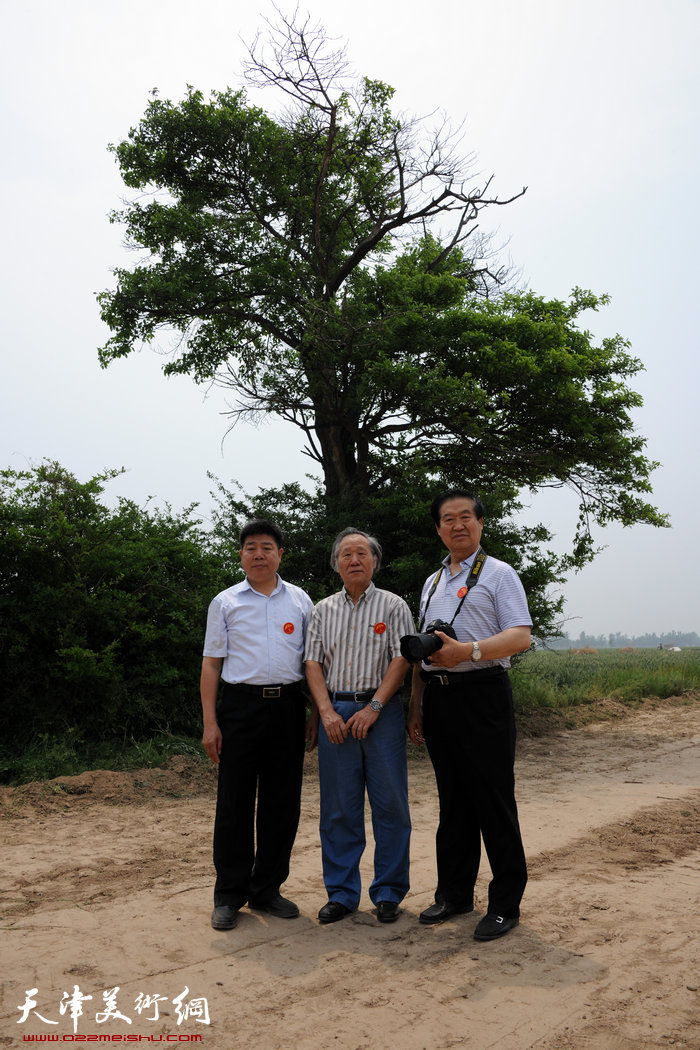 姬俊尧向东光“暖伞姬俊尧基金会”捐画50幅，图为姬俊尧、张养峰、刘文敏在家乡古树下。