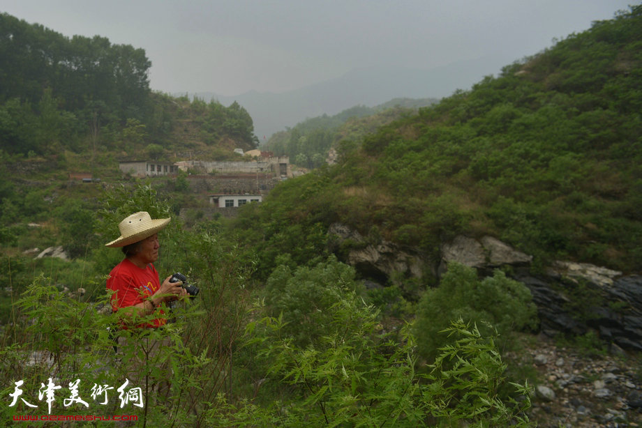 天津著名山水画家到阜平三道岭采风写生。姬俊尧在采风。