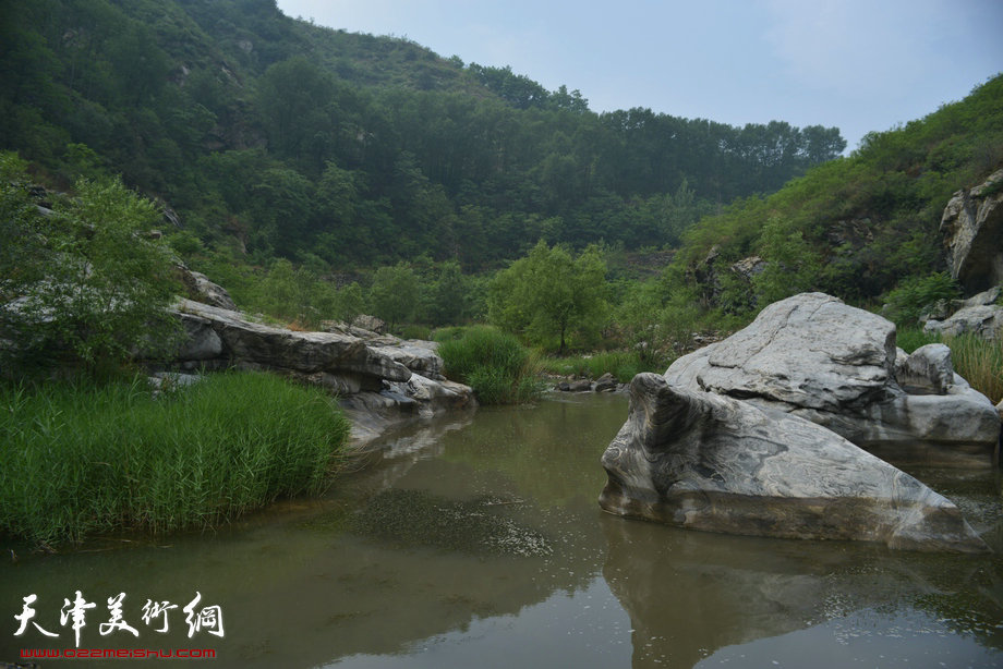 天津著名山水画家到阜平三道岭采风写生。太行山涧。